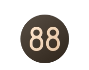88VIP